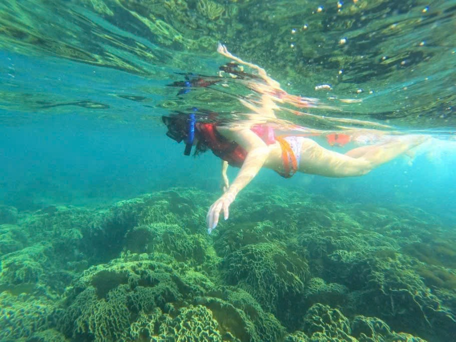 Nha Trang-snorkeling